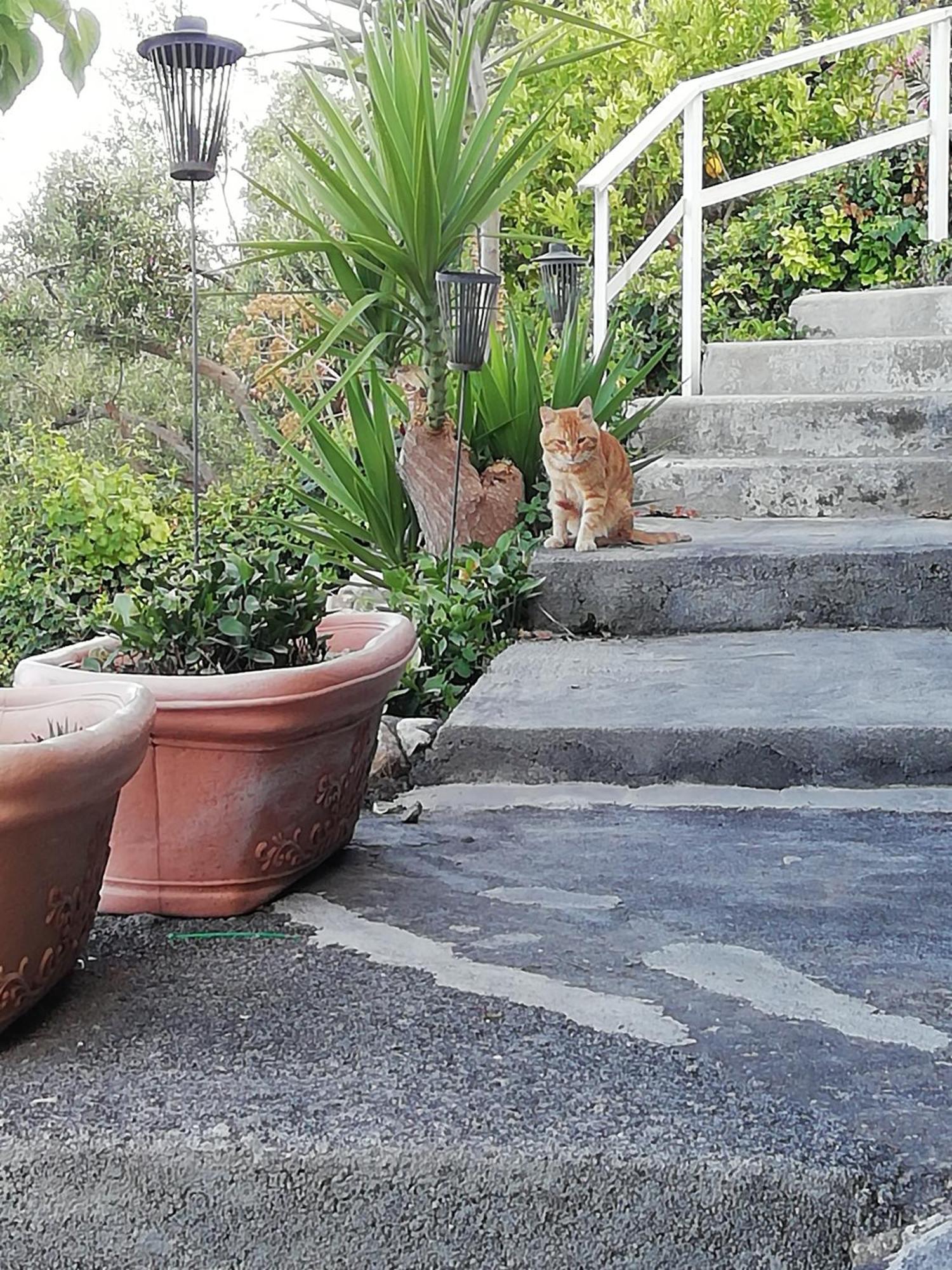 Villa Johnny And Mary'S House Breathtaking View Taormina Zimmer foto